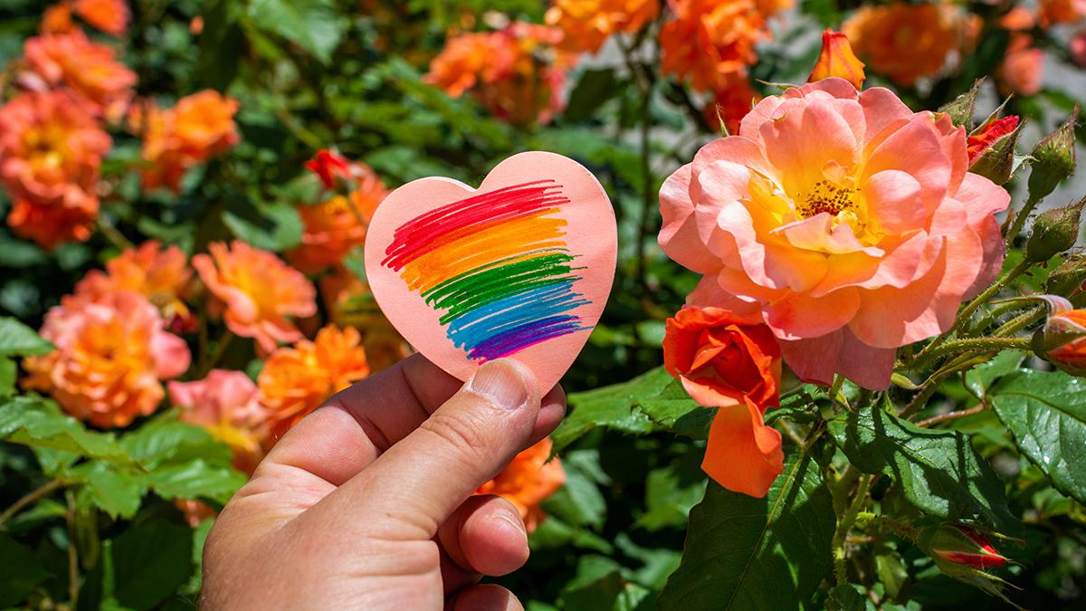 caucasian man with a piece of paper in his hands with a rainbow flag painted in it on a background of roses
