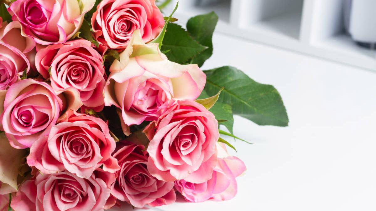 Pink blooming roses on wood